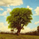 Loneward - Enveloped by Beauty ()