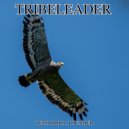 Tribeleader - IRRADIATE ()