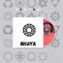 Newton - Shaya ()