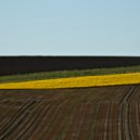 Random - Row ()