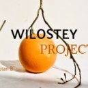 Wilostey Project - plan B (Live Mix)