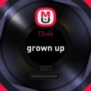 T3reb - grown up (Original Mix)