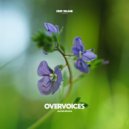 Jacob Brasil feat. Deep Insane - Overvoices