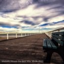 Dj Vell - Organic Melodic House the best Mix 30.06.2023 (mix)