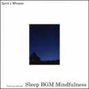 Sleep BGM Mindfulness - Mystic Reflections (Original Mix)