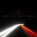 WAVE17 - What You Cant Have ()