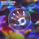 David Lujaroo - Magnolia (Original Mix)