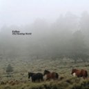 Fallen - Secret Paths, Secret Tales