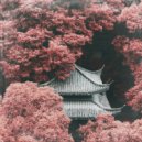 Morillo & Siren & Seer - Koto Love ()