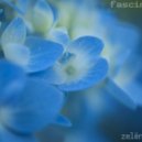 zelёnoe nebo - fascination - fascination ()