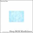 Sleep BGM Mindfulness - Serenity (Original Mix)