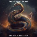 The Year of Meditation - Subtle Strength