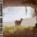 Amadye - Inside The Walls ()