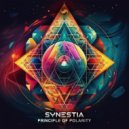 Synestia - Principle Of Polarity