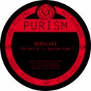 Nebulaee - Don\'t Want To Lose Myself (Original Mix)
