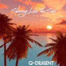 Q-Diligent - It\'s Time For A Video ()