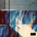 Cerebral Circuits - Mystical Realms In Turmoil