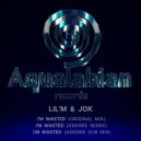 Lil\'M, jOk - I\'M Wasted (Anorre Dub Mx)