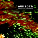 AUDIOTA - The Cosmos Switch ()