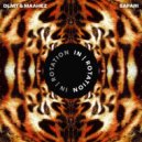 DLMT & Maahez - Safari (Original Mix)