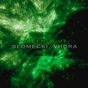 Slomecki, Viidra - Greenligth (Original Mix)