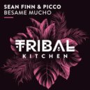 Sean Finn & Picco - Besame Mucho