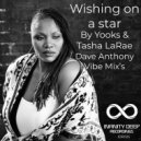 Yooks & Tasha LaRae - Wishing On A Star (Dave Anthony Vibe Instrumental Dub Mix)