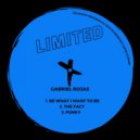 Gabriel Rojas - The Fact