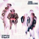 Them Vibes - Who Can You Trust ()