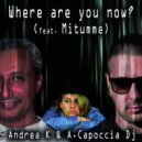 Andrea K & Alessandro Capoccia & Mitumme - Where Are You Now? (feat. Mitumme) ()