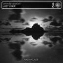 InfiniteMemory - Lost Voice (Original Mix)