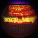 OVERUSTED - INSAINITY ()