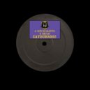 Peaky Beats - The Cat