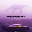 Raw Ordio - Deep in the Mix (Original Mix)