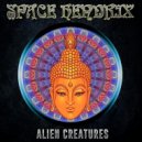Space Hendrix - Mixed Race