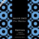 Hallux (Swz) & Ribsoul feat. Milokul - You Matter (San MuShaido Remix)