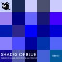 Cláudio Braga, Deelight, Mastercris - Shades Of Blue (Radio Edit)