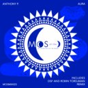 Anthony P. (CH) - Aura