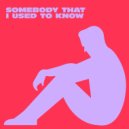 Kevin McKay & James Cole - Somebody That I Used To Know