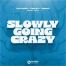 Galwaro x Tomhio x TWINNS Ft. EKE - Slowly Going Crazy