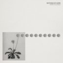 Hara Alonso - Notion 3