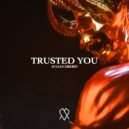 Julian Drebin - Trusted You (Original Mix)