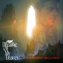 Breathe Of My Leaves - Avalon