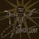 Israel Vich, Marco Tegui - Tortuga (Marco Tegui \'Infirmary Blues\' Rework)