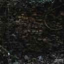 Trent Williams - Goodbye, My Forest ()