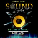 Ricky Levine - We Call It Music ()