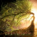 PegasusMusicStudio - Kind Miracle