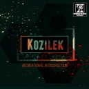 Kozilek - Shape Reality (Original Mix)
