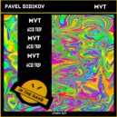 Pavel Bibikov - Acid Trip (Original Mix)