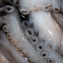 Das SPEZIAL, Taya Michington - Look Inside
